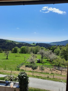 Aussicht in die Ferne